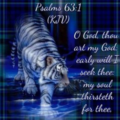 Blue Moon freestyle - Tyler Monroe