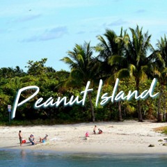 Peanut Island (single)