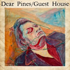 guest house - death and taxes