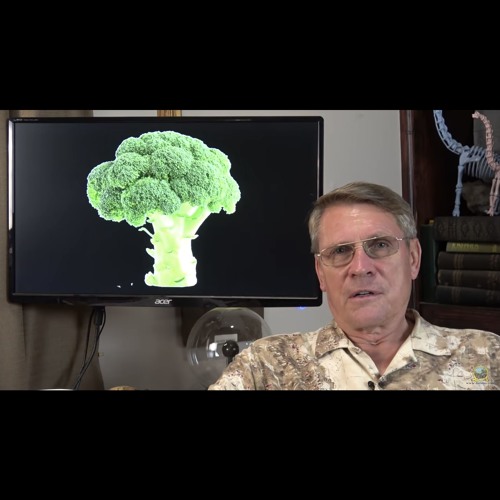 Atheist worst nightmare 08 picture