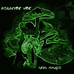 Psilocybe Vibe E.P Soundcloud Sample 2013