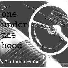 One Under The Hood - demo that never made an album