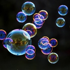 Paige's Backyard Bounty