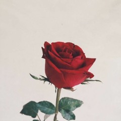 Lust Isn't Love ~ (prod. by jvst x)