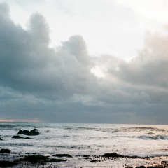 Ocean Heaven