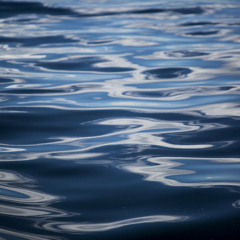 Body Awareness Meditation by Tabitha Kirkland