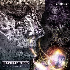 Imaginary Sight - Smell The Music EP / Samples