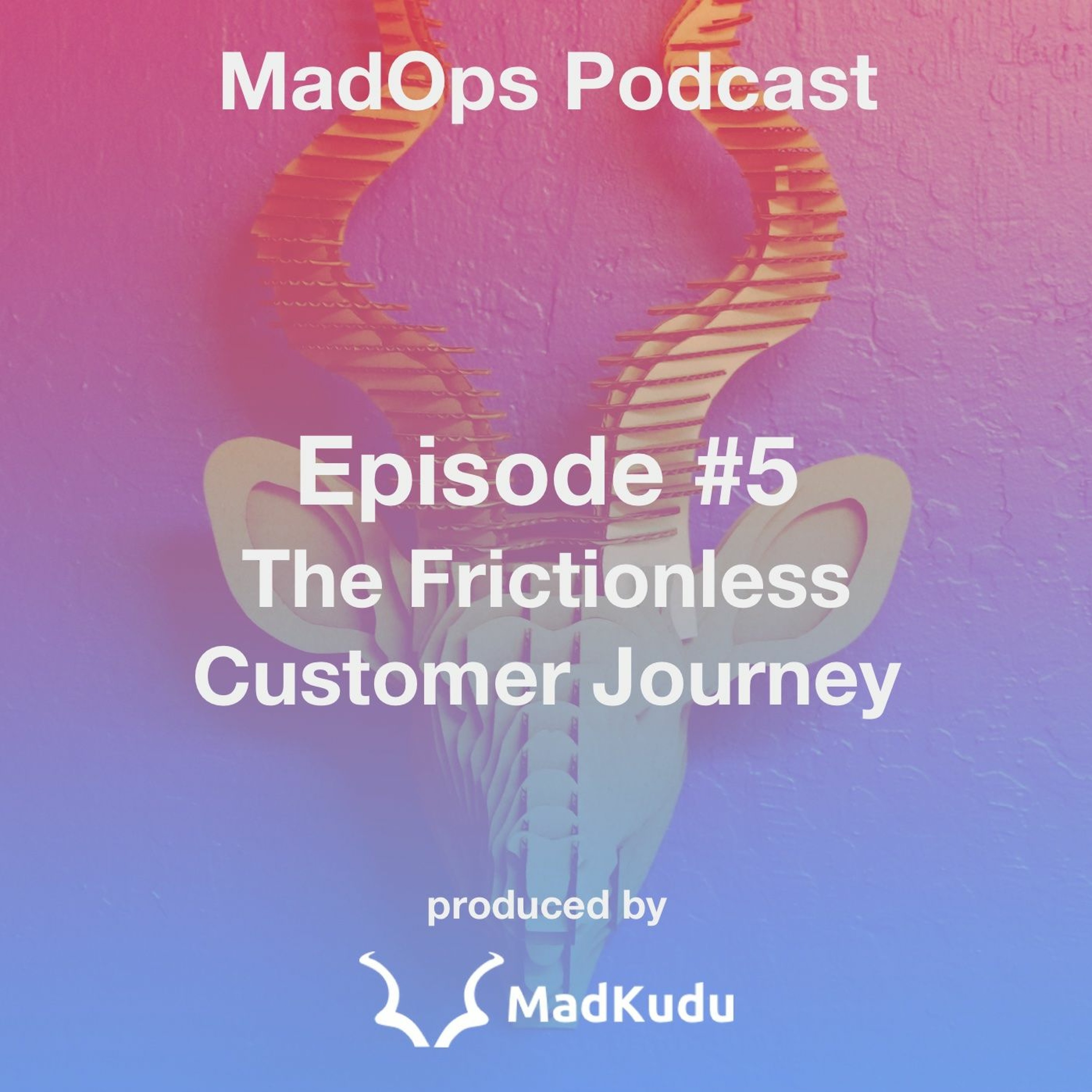 Madops Podcast Ep. 5 | The Frictionless Customer Journey episode artwork