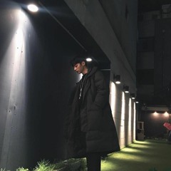 (BTS) Fake Love - SJ