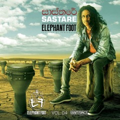 Galle - Flippy ( Elephant Foot Percussion Mix)