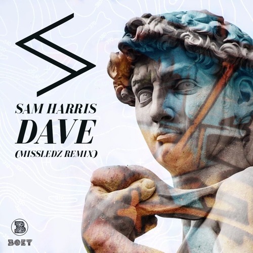 Sam Harris - Dave (missledz Remix)