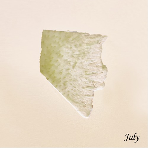 Djebali - July (Once A Month) [TFD005]