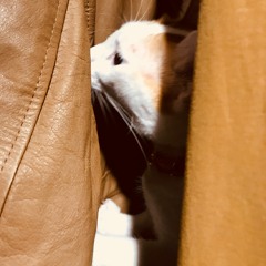 Og Bobby Johnson (kdz remix)