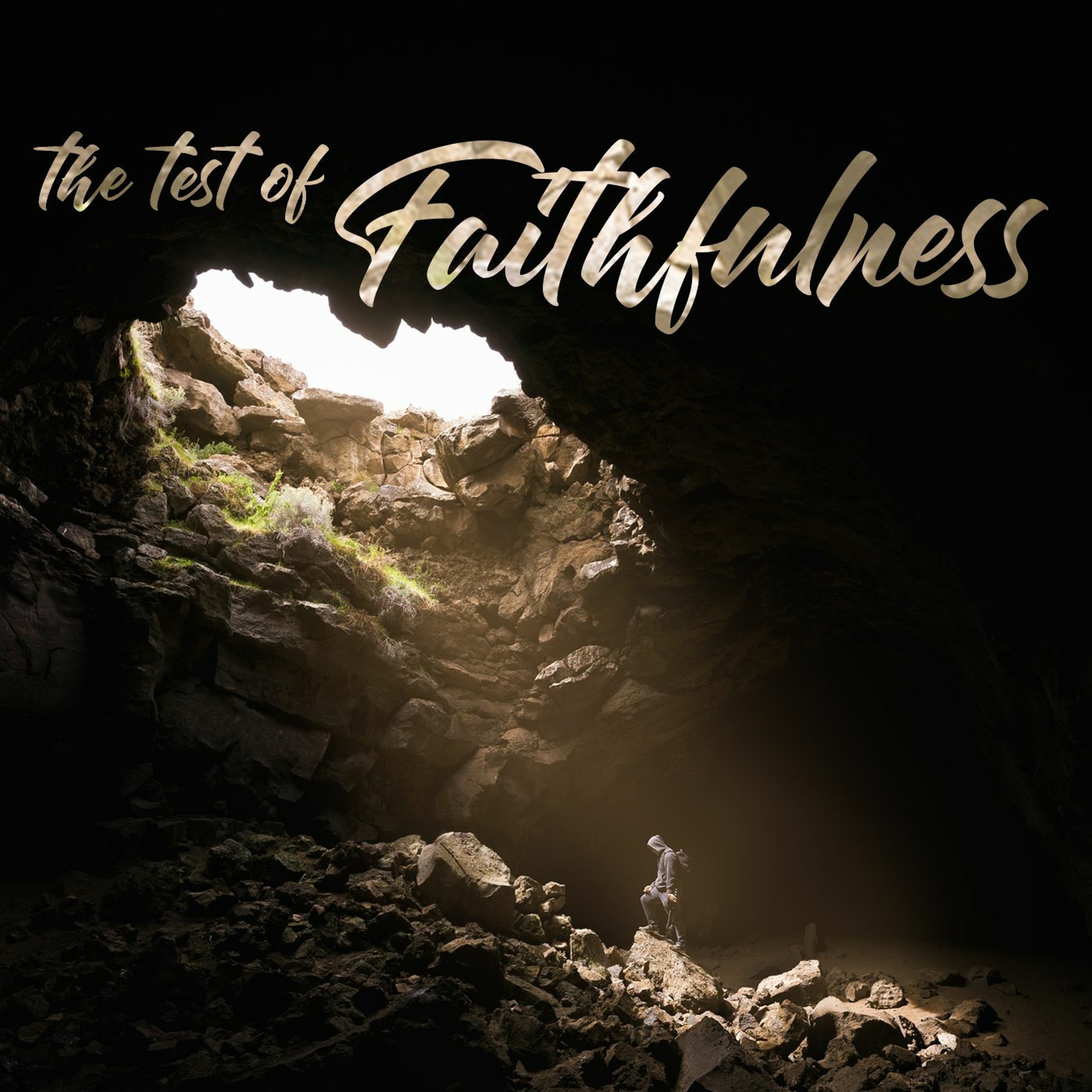 the test of Faithfulness episode artwork