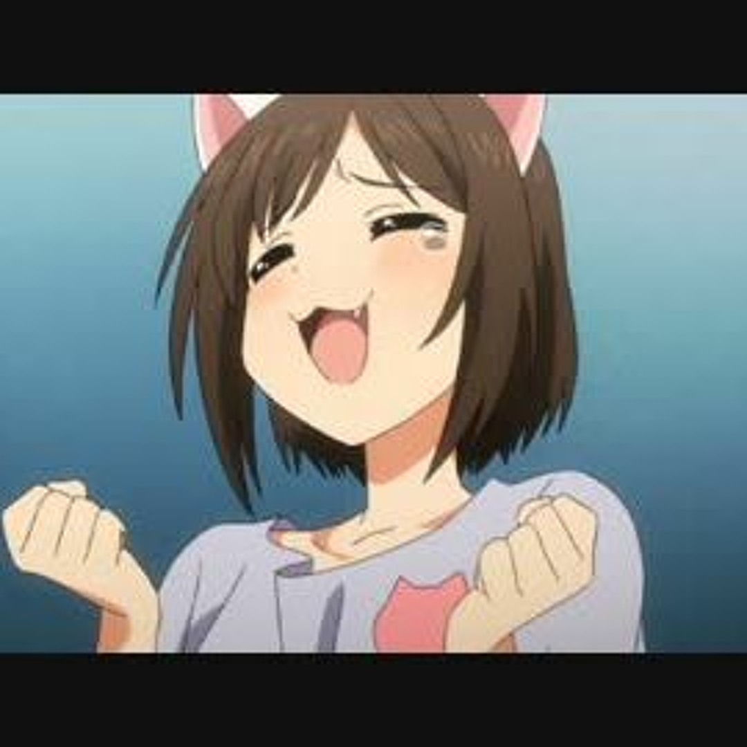 neko♪ MONOKEI x SingaKBD - Neko Standard (In-stock) — Mekibo