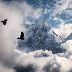 Fast Life Feat. Acer! (Prod. By Yunggator)