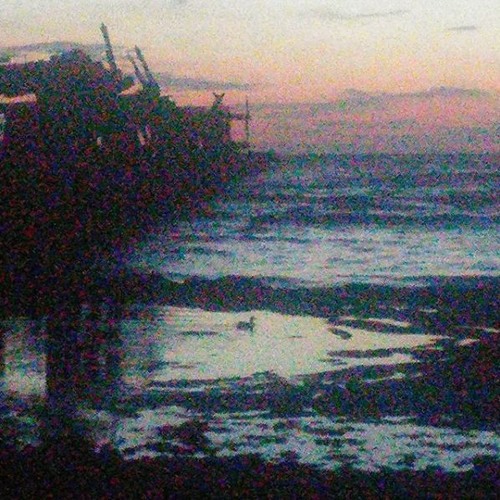 Tribute To Peep by. Xavier Jones