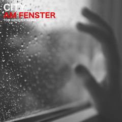 City - Am Fenster (Tom Kenzler Remix)