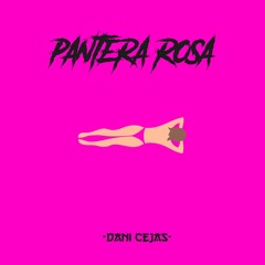 INTRO PANTERA ROSA + PERREO - Dani Cejas