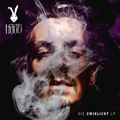 Haze - Fluch - Remix by Nikoglitzerin