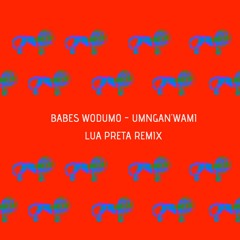 Babes Wodumo - Umngan'wami (Lua Preta Remix)