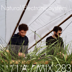IA MIX 283 Natural/Electronic.System.