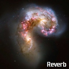 Reverb 07