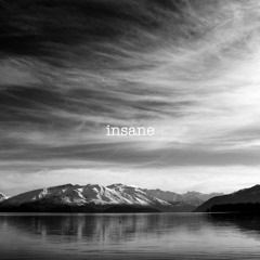 insane (prod. stanxun)