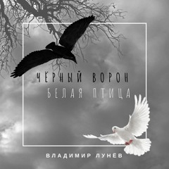 Черный Ворон, Белая Птица