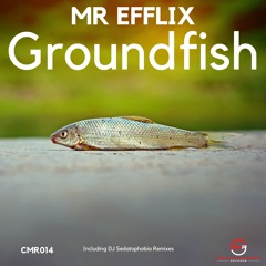 Groundfish (Original Mix) [Snippet]