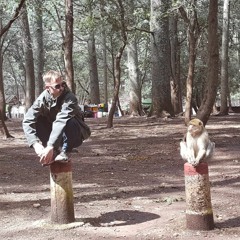 También Me Gusta Ese Bling Bling.