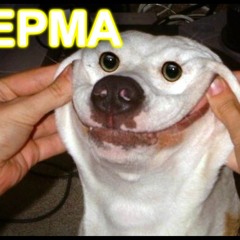 Lida Mudota - собачий секс