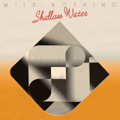 Wild Nothing // Shallow Water