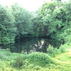 Bikini Atoll TO - VMP