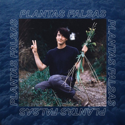 Plantas Falsas