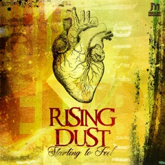 Rising Dust - Starting To Feel (Original Mix)
