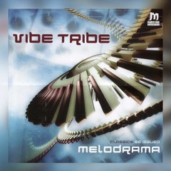 Vibe Tribe - Rearranged (Original Mix)