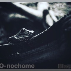 Black Frog