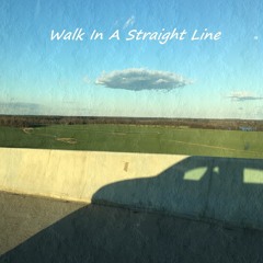 Walk In A Straight Line