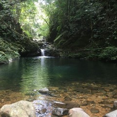 Trekking Bach Ma - Khoale