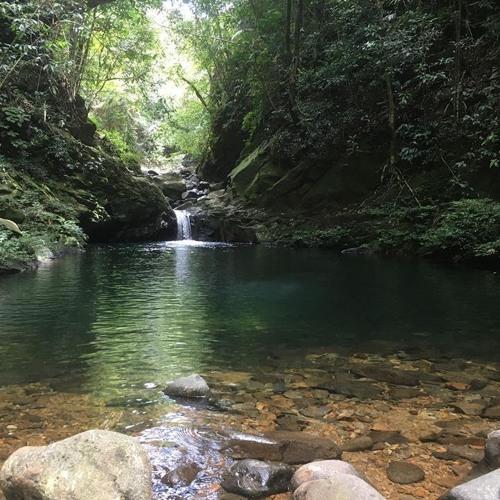 Trekking Bach Ma - Khoale