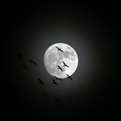 krUst - Moon Tanning (Tintarella Di Luna RMX)[FREE DOWNLOAD]