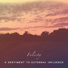 A Sentiment To External Influence (EP)