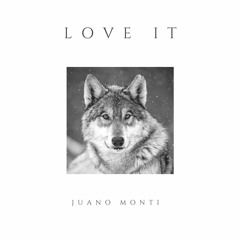 Juano Monti - LOVE IT (Original Mix)