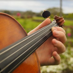 Andante - String Trio
