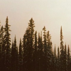 а у нас была тишина