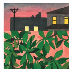 Emerging With The Day