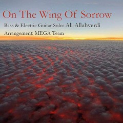 On The Wing Of Sorrow