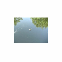 four years on / tamar