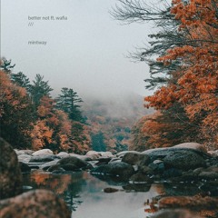 Louis The Child - Better Not Ft. Wafia (mintway remix)